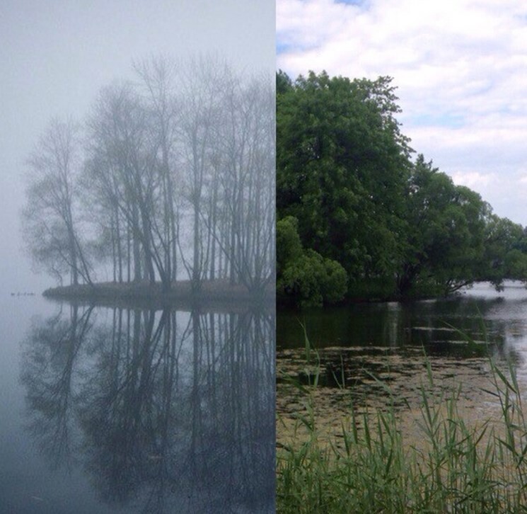 Осень. Лето. Царское село.