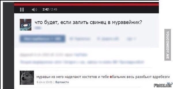Из солянки