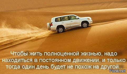 Из солянки