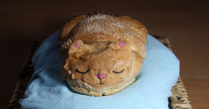 Хлеб в виде котиков