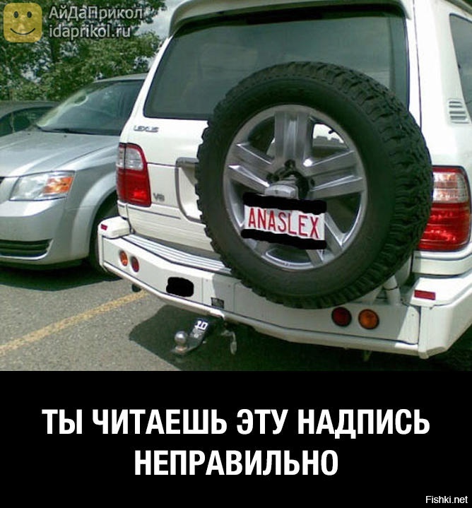Из солянки