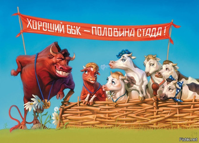 Из солянки