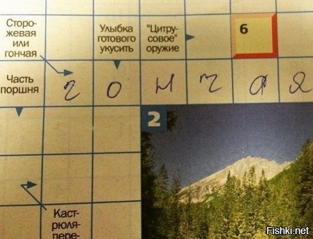 Из солянки