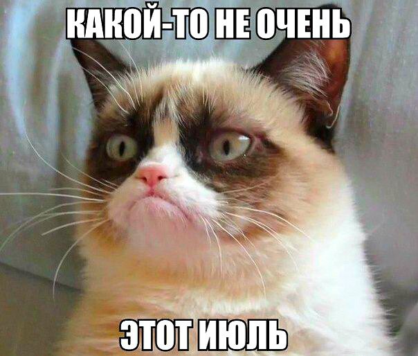 Grumpy Cat покоряет просторы русскоязычного юмора