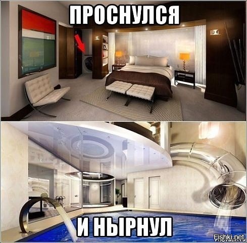 Из солянки