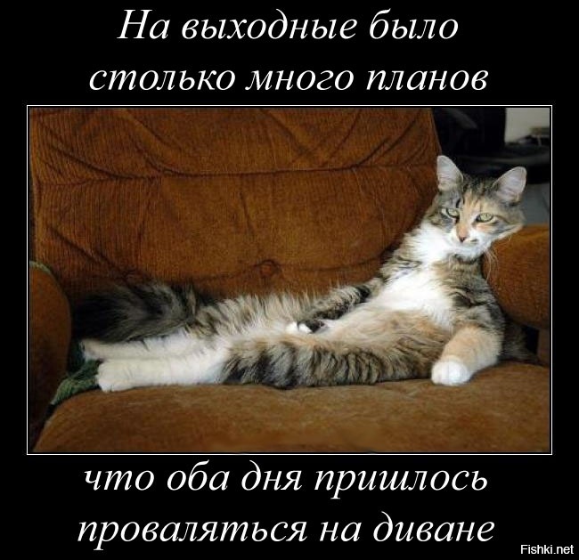 Всех с пятницей