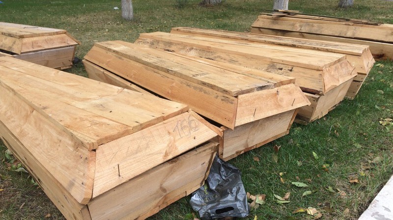 В степях донецких