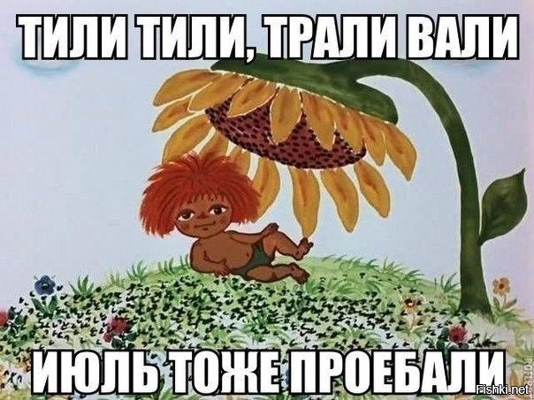 Из солянки