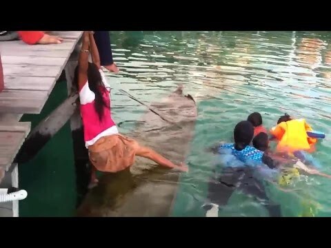 Девочка спасает тонущую лодку 