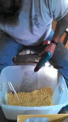 Вот как нужно кукурузу чистить