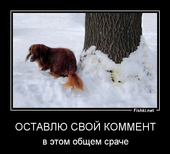 Оставлю свой коммент
