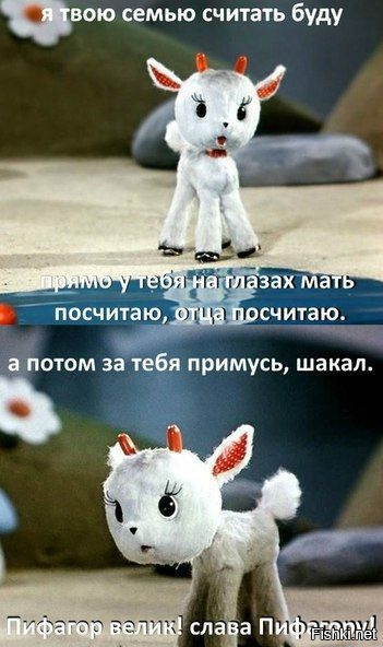 Из солянки