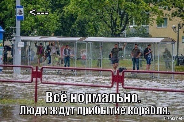 Из солянки