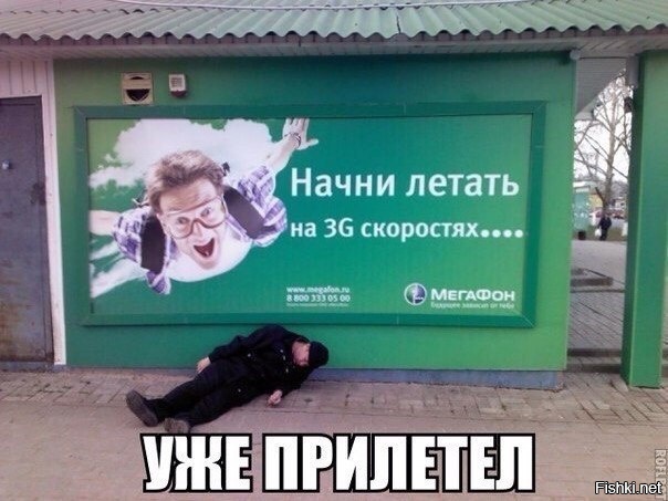 Из солянки