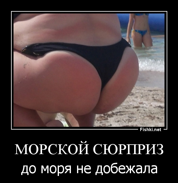 морской сюрприз