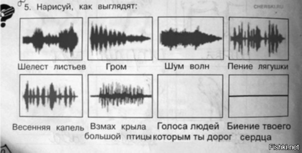 Выполняй задания правильно