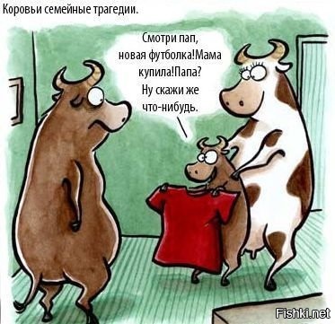 Из солянки