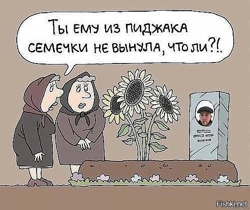 Из солянки