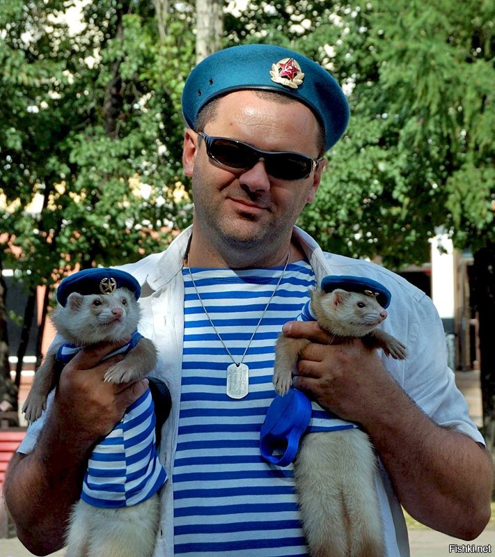 Из солянки
