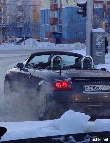 Из солянки