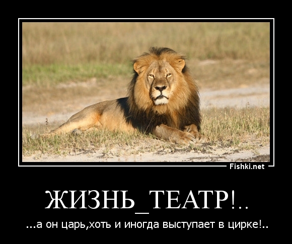 жизнь_театр!..
