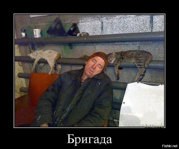 Из солянки