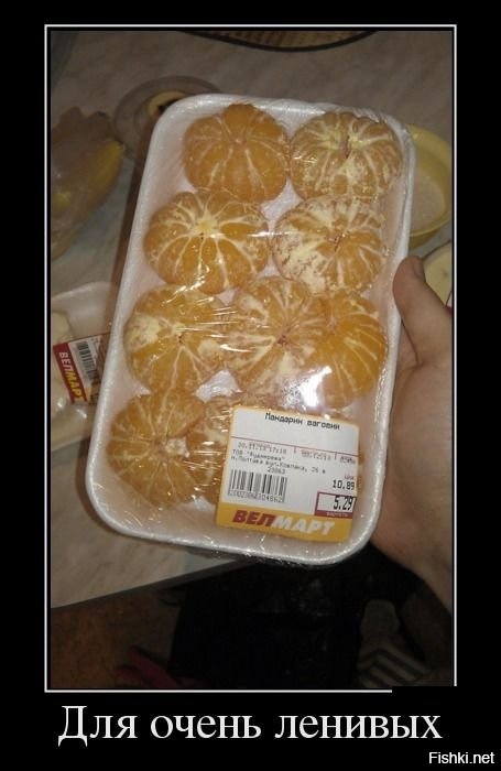 Из солянки