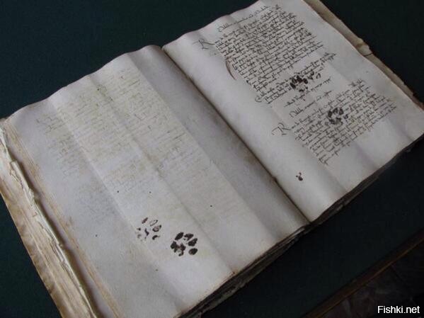 Средневековый кот вляпался в чернила и оставил свои следы на рукописи, 1100 год