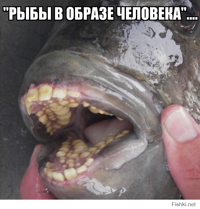 "Рыбы в образе человека"....