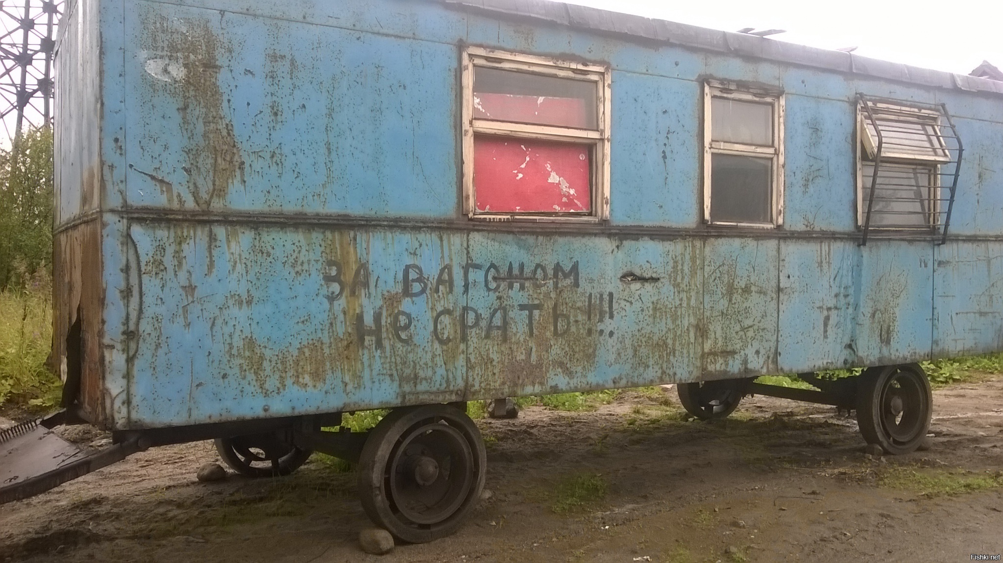 Из солянки
