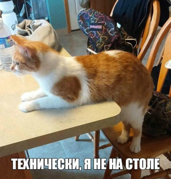 Немного Котэ