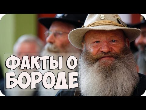 Интересные Факты о Бороде