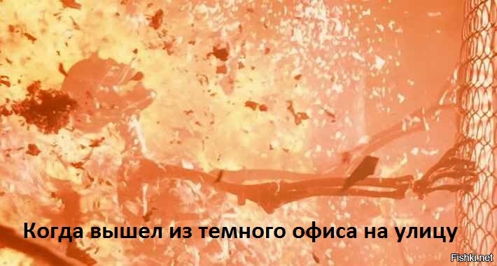 Из солянки