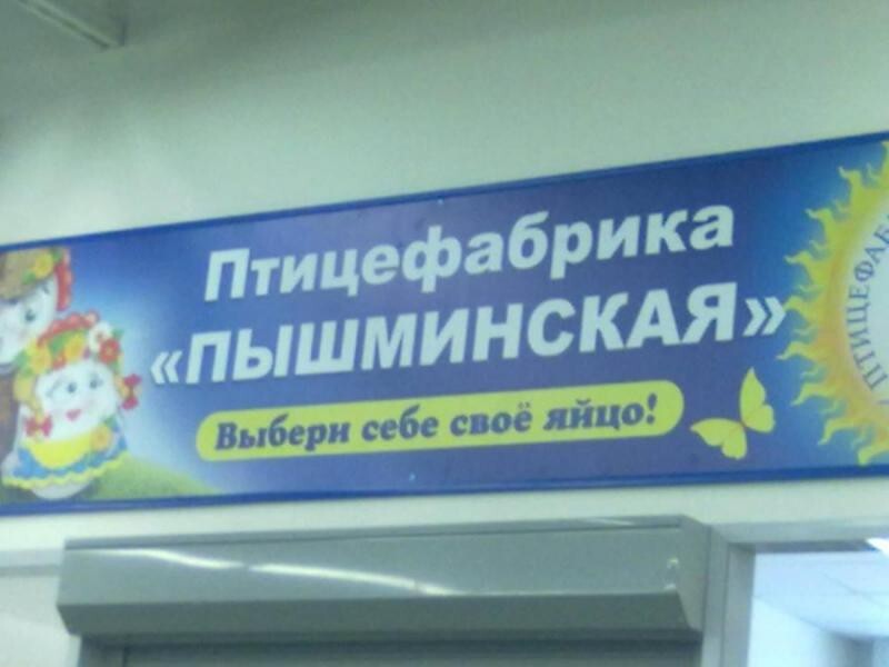 Прикольные надписи и объявления