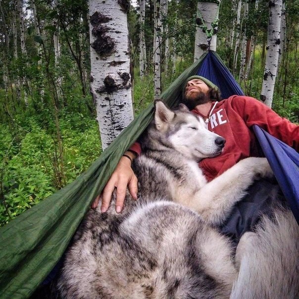 Жиль Элькем и Пушок