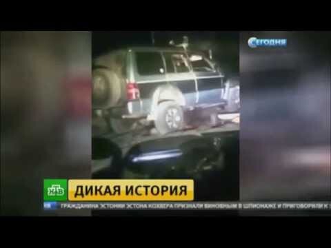 Сахалинские полицейские вышли на след мучителей медведя 