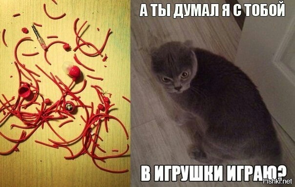 Из солянки