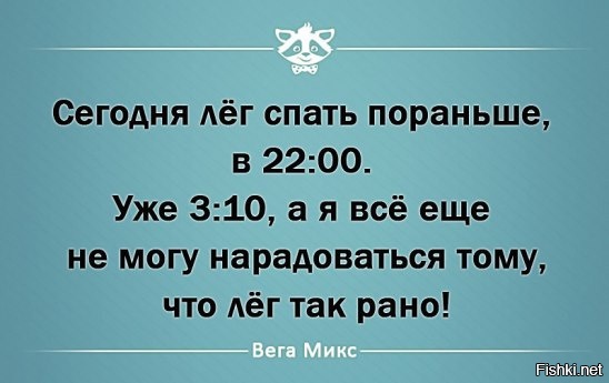 Из солянки