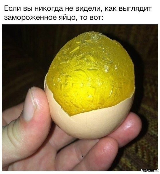 Из солянки