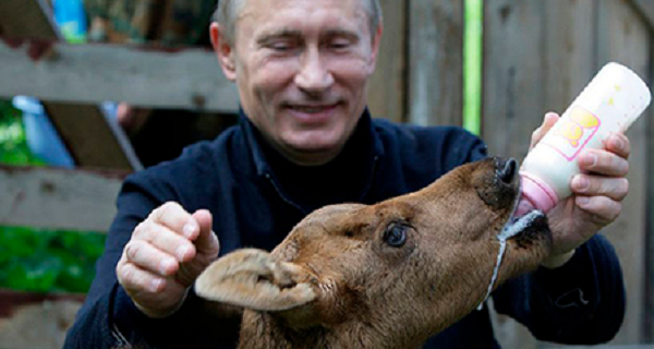 Россияне назвали Путина главным поводом для гордости