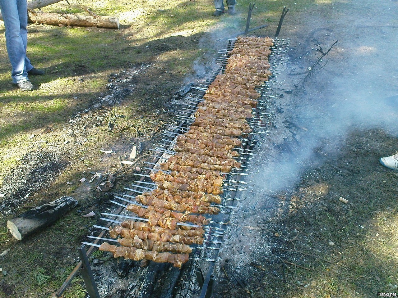 Из солянки