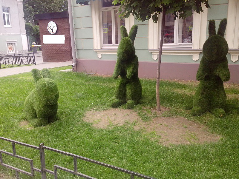 В Москве появились зеленые зайцы