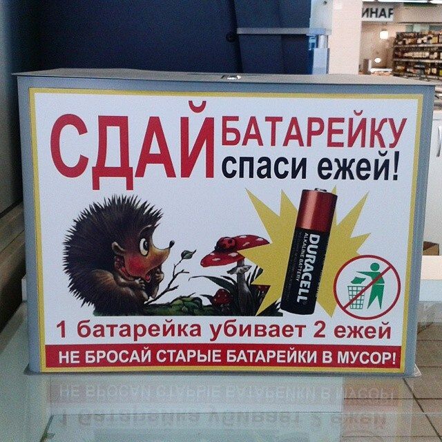 Спасай ежей!