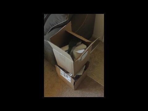 Попугай нашел коробку из Афганистана