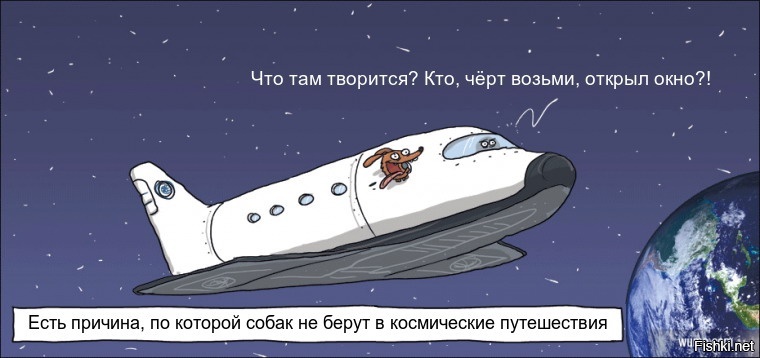 Из солянки