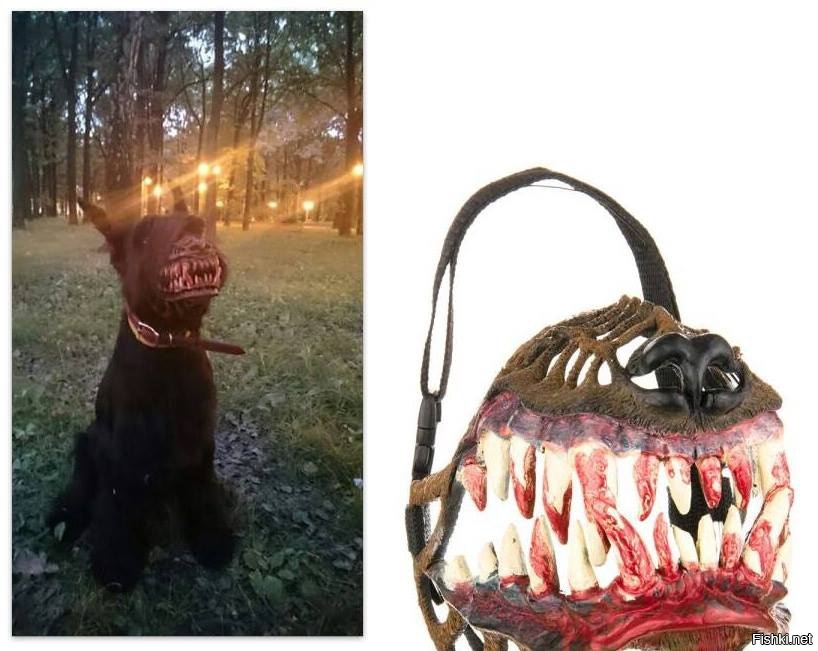 Хороший намордник