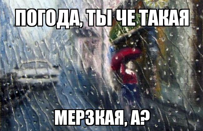 Из солянки