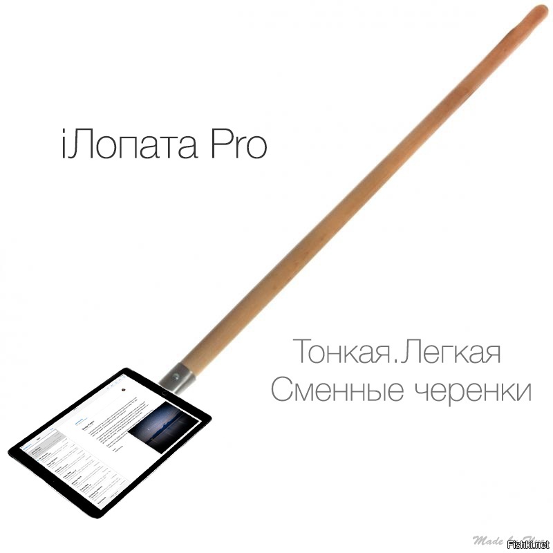 Из солянки