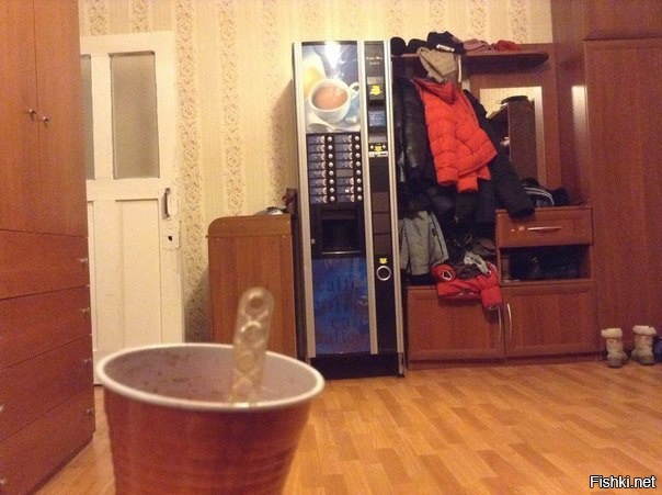 Из солянки