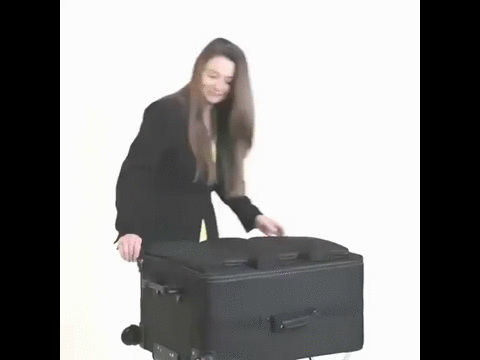 Перевоплощение чемодана